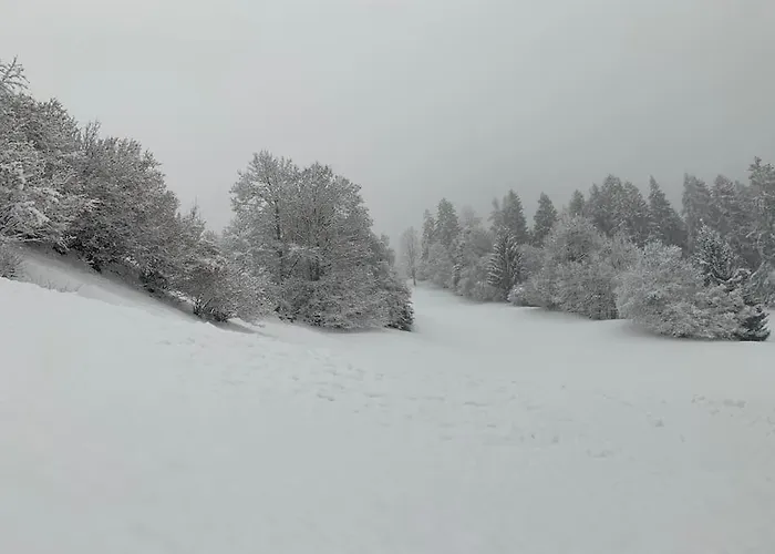 Apartamento Casa Da Tini